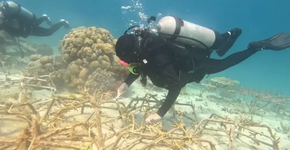 Sunset in the mountains