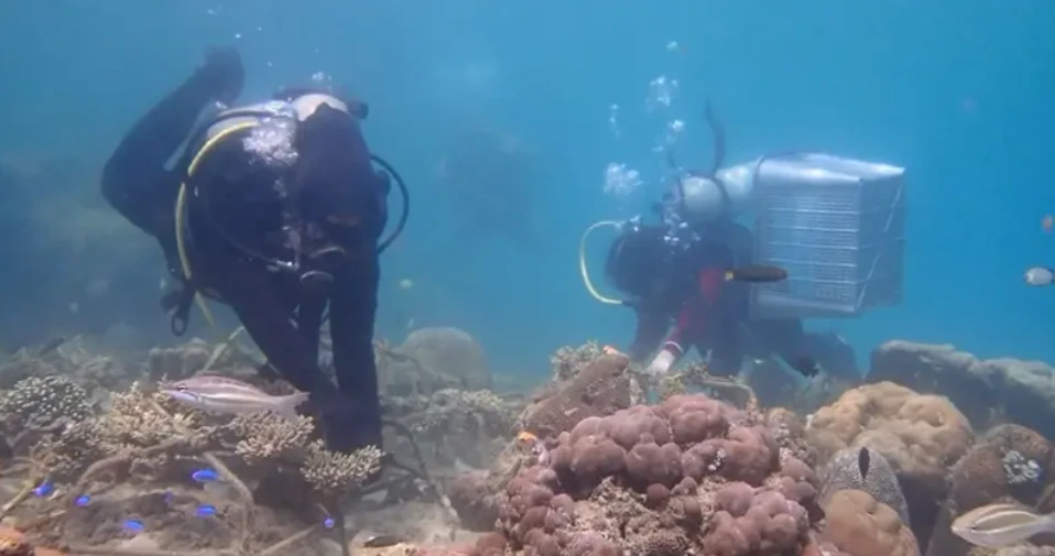 Sunset in the mountains