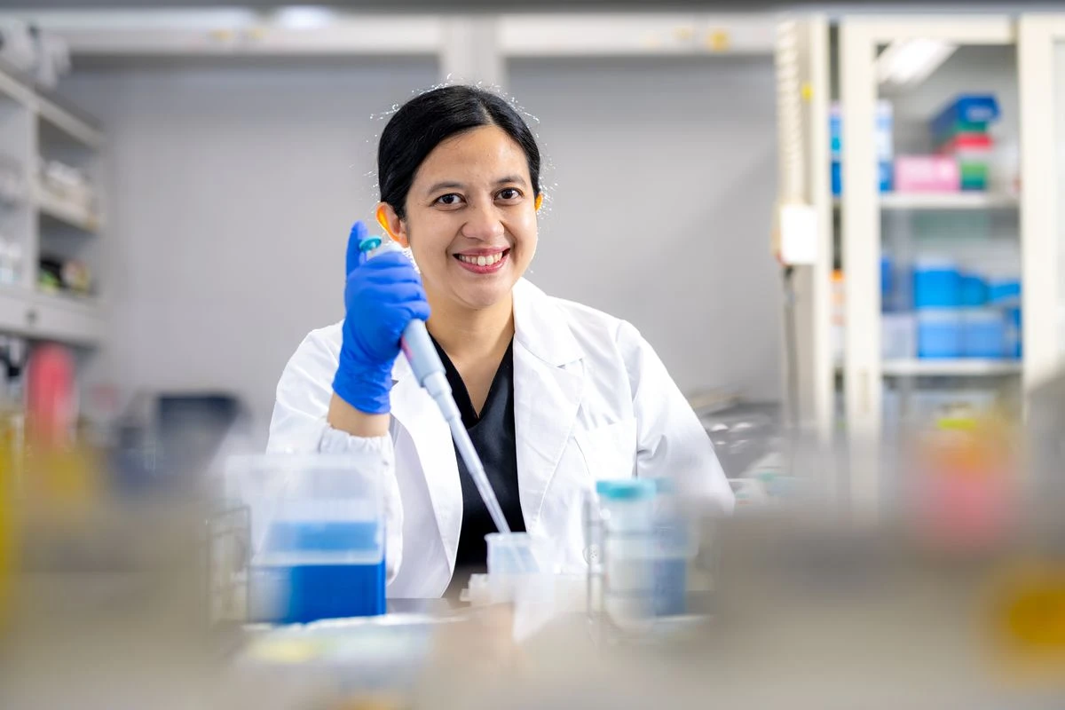 Sunset in the mountains