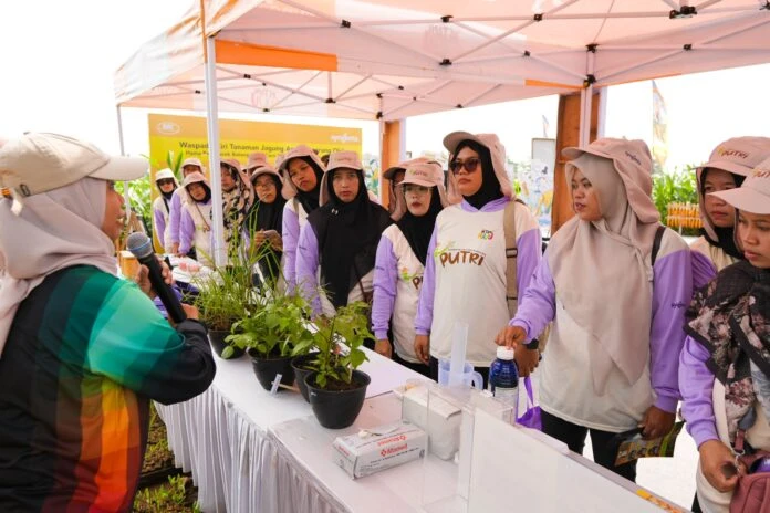 Sunset in the mountains