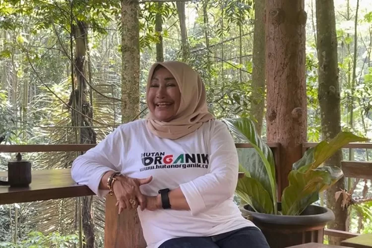 Sunset in the mountains